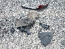 1C4RJFBG8FC****** Wrecked 2015 Jeep Grand Cherokee in Ohio State