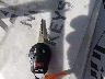 3N1CE2CP7FL****** Salvamento 2015 Nissan Versa Note en Estado de Illinois