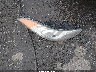 5NPDH4AE9DH****** Wrecked 2013 Hyundai Elantra in Maryland State