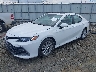 4T1R11AK1RU****** Usados y Reparables 2024 Toyota Camry en Tifton