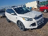 1FMCU9J93EU****** Salvamento y Destrozados 2014 Ford Escape en Sioux Falls