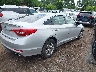 5NPE24AF2GH****** Salvage and Wrecked 2016 Hyundai Sonata in Minnesota State