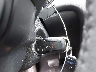 3FA6P0HD9FR****** Salvage 2015 Ford Fusion in Pennsylvania State