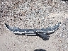 1C4RJFCG6FC****** Wrecked 2015 Jeep Grand Cherokee in Rhode Island State