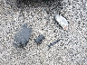 1G1ZB5E08CF****** Wrecked 2012 Chevrolet Malibu in Ohio State