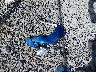 MAJ6S3FL7LC****** Wrecked 2020 Ford Ecosport in West Virginia State