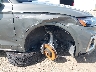 WA15AAFY7R2****** Salvage and Repairable 2024 Audi Q5 in Illinois State