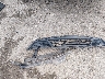 1FAHP2E82JG****** Wrecked 2018 Ford Taurus in West Virginia State