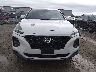 5NMS2CAD3KH****** Wrecked 2019 Hyundai Santa Fe in Kansas State