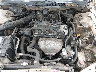 1HGCG6655YA****** Repairable 2000 Honda Accord in Pulaski