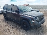 1C4NJPBA0GD****** Salvage and Wrecked 2016 Jeep Patriot in San Antonio South