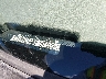 1GCEC19C38Z****** Used 2008 Chevrolet Silverado 1500 in Los Angeles