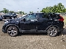 7FARW2H58KE****** Reparables 2019 Honda CR-V en Estado de Nueva Jersey
