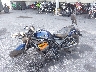 JH2SC871XSK****** Usados y Reparables 2025 Honda Rebel 1100 en Rec Rides Online Exclusive