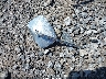 1HD1CGP155K****** Salvage 2005 Harley-Davidson Xl1200 in New York State
