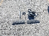 1G1YM2D76F5****** Repairable 2015 Chevrolet Corvette