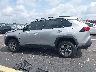 2T3W1RFV2RC****** Reparables 2024 Toyota RAV4 en Estado de Florida