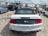 1FATP8UH8N5****** Destrozados 2022 Ford Mustang