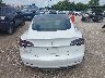 5YJ3E1EB8KF****** Salvamento 2019 Tesla Model 3