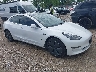 5YJ3E1EB8KF****** Salvamento y Destrozados 2019 Tesla Model 3 en Chicago South