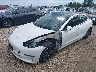5YJ3E1EB8KF****** Usados y Reparables 2019 Tesla Model 3 en Chicago South