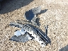 KL7CJNSB1JB****** Destrozados 2018 Chevrolet Trax en Estado de Pennsylvania