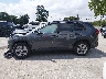 2T3P1RFV5SW****** Repairable 2025 Toyota RAV4 in Kentucky State