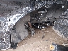 1FMSK8DH6NG****** Salvamento y Destrozados 2022 Ford Explorer en Portage