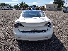 5YJ3E1EA6PF****** Destrozados 2023 Tesla Model 3