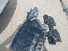 JN1EV7BP3MM****** Wrecked 2021 Infiniti Q50 in Texas State