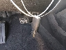 5XYPG4A32HG****** Salvage 2017 Kia Sorento in Texas State