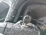 1GNKVGKD4DJ****** Salvage 2013 Chevrolet Traverse in West Virginia State