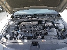 KMHLM4DG1SU****** Repairable 2025 Hyundai Elantra in Houston