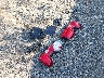 3GCUDEED2NG****** Wrecked 2022 Chevrolet Silverado 1500 in Massachusetts State
