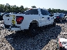 1FTEW2KP4RK****** Salvamento y Destrozados 2024 Ford F-150 en Estado de Carolina del Sur