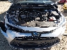 JTDBCMFE2R3****** Reparables 2024 Toyota Corolla en Indianapolis