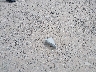 3GCPKSE32BG****** Wrecked 2011 Chevrolet Silverado 1500 in Montana State