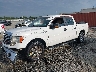 1FTEW1C82AF****** Used and Repairable 2010 Ford F-150 in Tifton