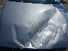 3KPFT4DE2SE****** Repairable 2025 Kia K4 in Long Island