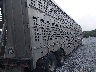 4A2LD5328E3****** Salvage and Wrecked 2014 MH Eby Livestock in Pennsylvania State
