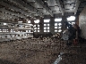 4A2LD5328E3****** Wrecked 2014 MH Eby Livestock in Specialty Division