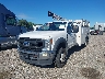 1FDUF5GN7LE****** Usados y Reparables 2020 Ford F-550 Chassis en Specialty Division