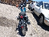 ME3HAN476SK****** Salvage and Repairable 2025 Royal Enfield INT Bear 650 in Colorado State