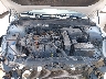 5XXGU4L32GG****** Reparables 2016 Kia Optima en Lubbock