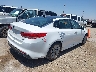 5XXGU4L32GG****** Salvamento y Destrozados 2016 Kia Optima en Estado de Texas