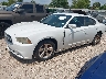 2C3CDXBG7DH****** Used and Repairable 2013 Dodge Charger in Houston