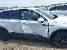 3VVNB7AXXRM****** Usados 2024 Volkswagen Tiguan en Estado de Ohio