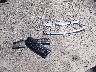 JN8AZ2BE8M9****** Wrecked 2021 Infiniti QX80 in New York State