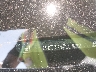 1G1105S37LU****** Reparables 2020 Chevrolet Impala