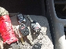 2HKRM4H59CH****** Salvage 2012 Honda CR-V in Massachusetts State